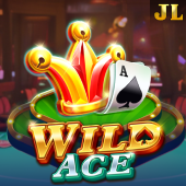 Wild Ace casino game slot